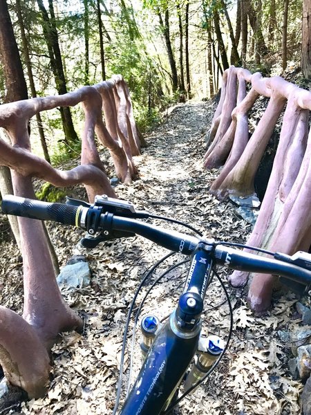 You'll need to navigate this bridge by the boat dock area on Scott's Flat Lake Trail.