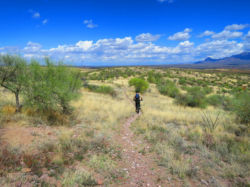 This is a glimpse at just some of the great singletrack out in the Tubac Shakur Loops.