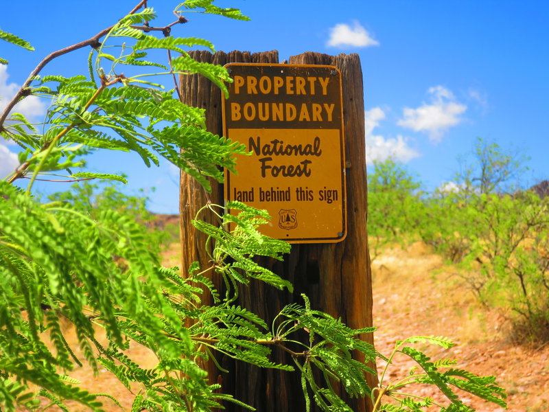 A Forest Service boundary marker is located on the trail heading west.