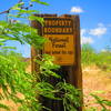 A Forest Service boundary marker is located on the trail heading west.