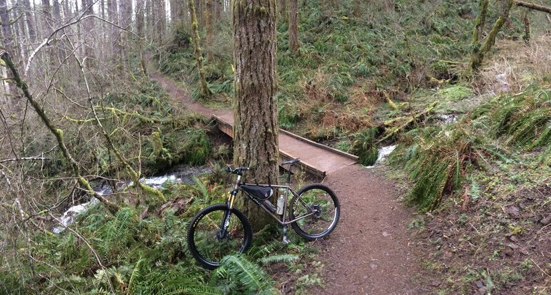 This is just one of many well-built creek bridges. Hey is that a Soma Juice!?