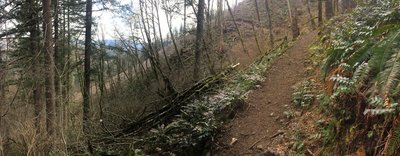 Near the top of the lung-buster climb, just a short steep is all that's left before you reap your downhill reward.