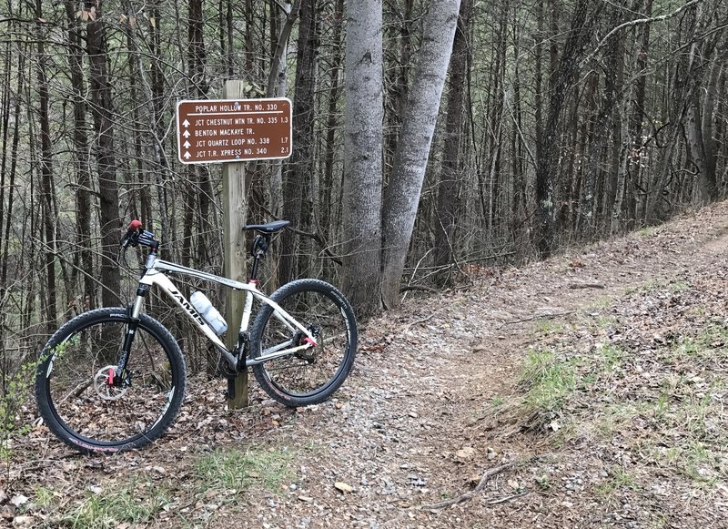 Keep your eyes peeled for this sign marking the trailhead for the West Fork Trail in the Tanasi Trail System.