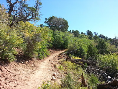 It's smooth sailing heading south on the C Trail.