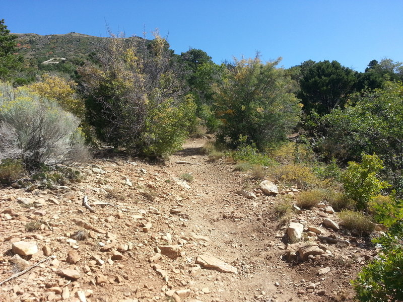 Every so often, look back up the C Trail to see just how far you've come!