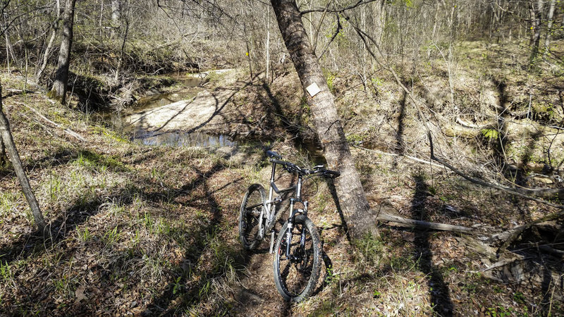 The trail parallels Dickey Branch before passing through it later.