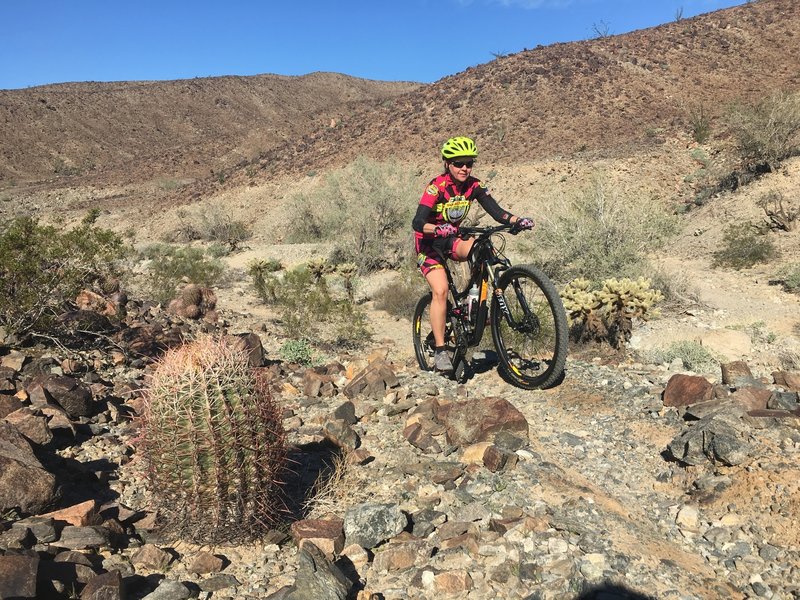 Get out and enjoy the trails at Sugarloaf Peak!