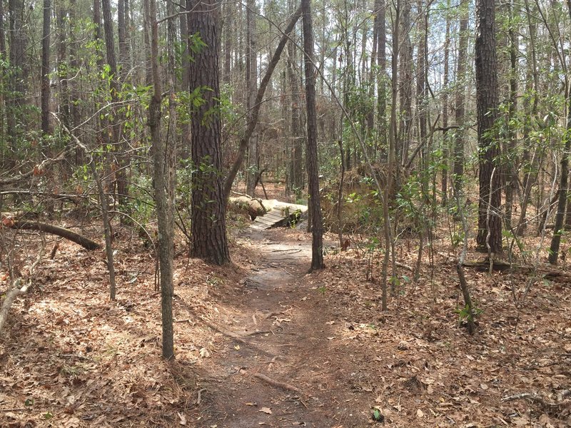 At this point, either jump over the tree or roll it at a slower speed onto a boardwalk landing.