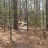 At this point, either jump over the tree or roll it at a slower speed onto a boardwalk landing.