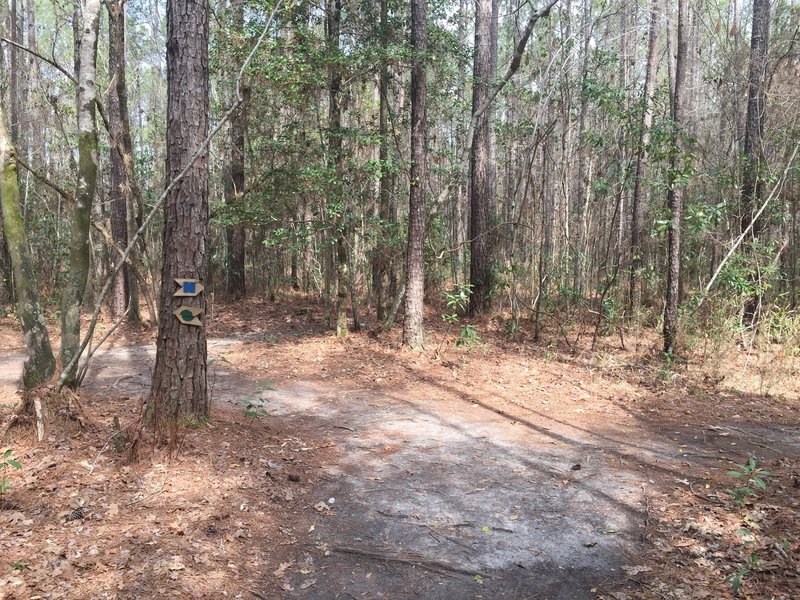 The Blue and Green trail markers are very clear and easy to follow. One marker was down near the end of a Blue section.