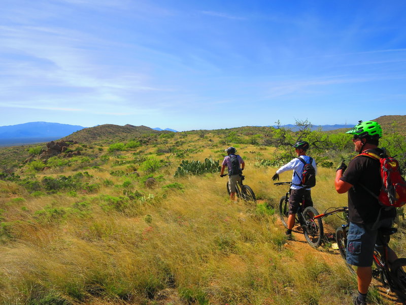 Soak up the views from the top as you stand in verdant meadows.