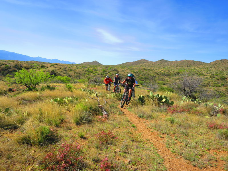 Singletrack is bliss on the Painter Boy section of the trail.