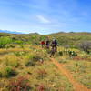 Singletrack is bliss on the Painter Boy section of the trail.