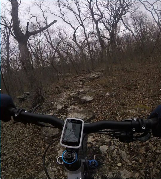 The beginning of the "Bone Yard," which is about the last 0.25 miles of the BST trail. There's lots of rocks, so it's very technical and fun.