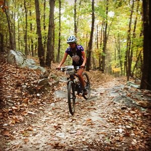 Mountain Bike Trails near Blue Ridge Ride Center