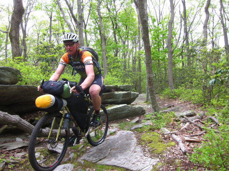 A rider cruises through Gambrill State Park in route to Michaux State Forest.