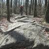 A rider cleans the Beached Whale in Gambrill State Park.