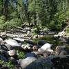 A view from the nearby creek that parallels the Butte Creek Singletrack.