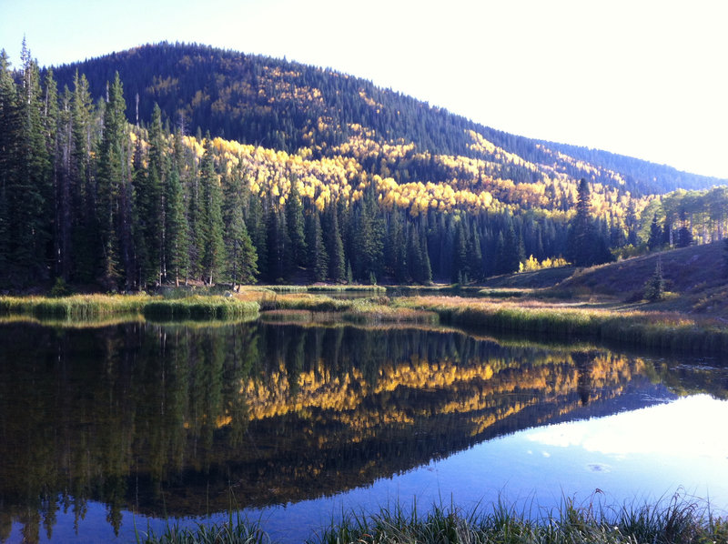 Lake Ridge Lakes in the fall.