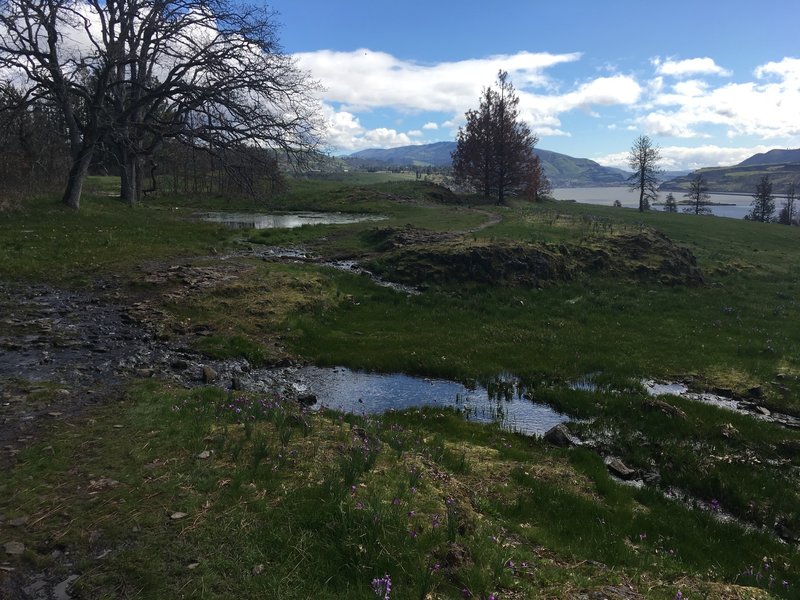 The Rowland Wall Trail is pretty soupy and swampy in late March.