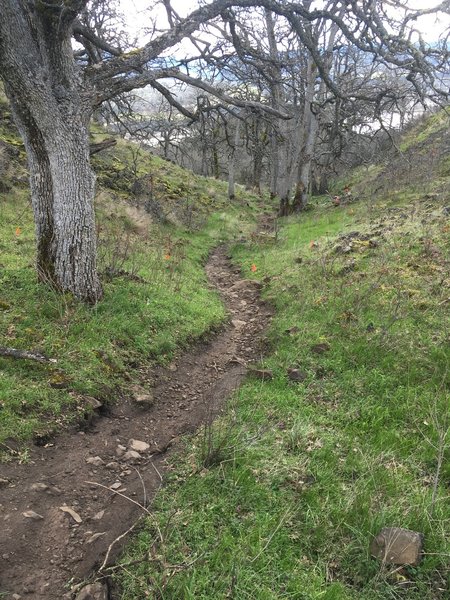 Get ready to tackle a rocky descent on Hidden Canyon.