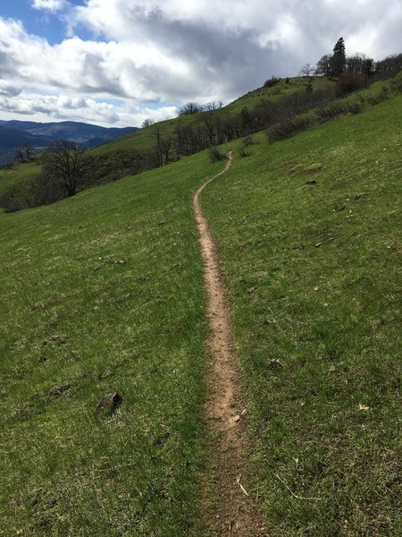 Loose Lucy is simple and wonderful. Sadly, not much of the trail is like this though.