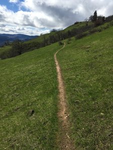 Loose Lucy is simple and wonderful. Sadly, not much of the trail is like this though.