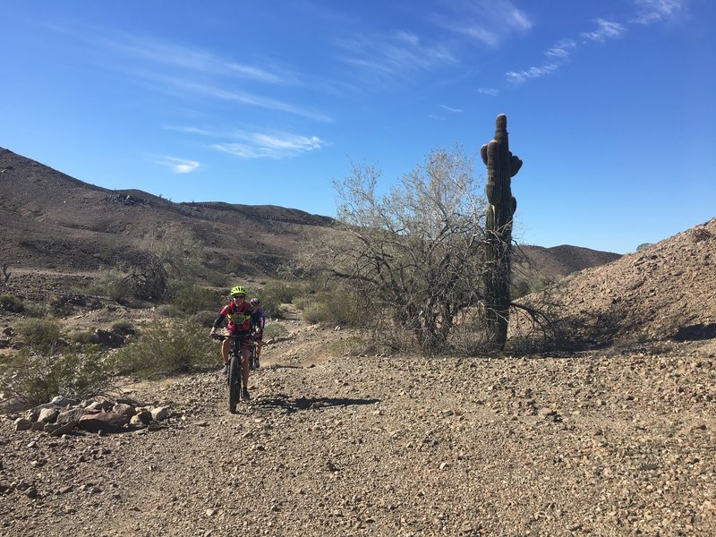 The group's all smiles as we cruise past this cool cactus!