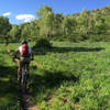 A rider ascends the south side of Braderich Creek Trail (Tall Pines).