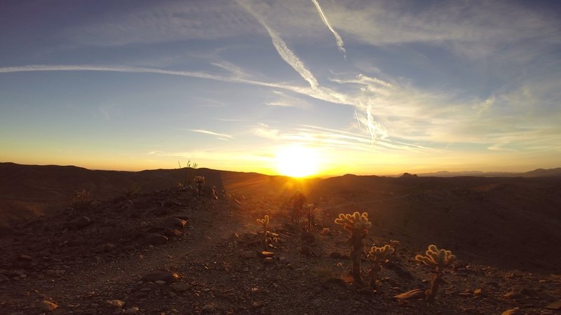 The sun sets on Champagne.