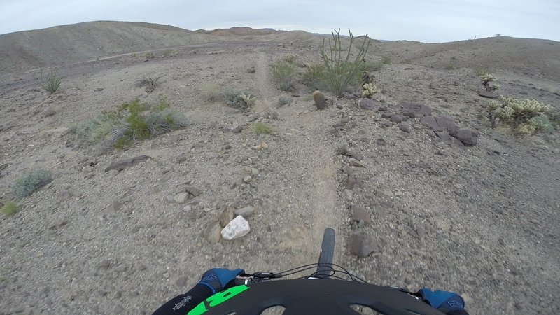 Picnic Table has plenty of buff, skinny singletrack on tap.