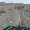 Picnic Table has plenty of buff, skinny singletrack on tap.