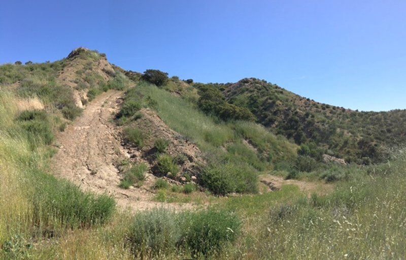 Get ready to tackle a gnarly final climb on Upper Las Virgenes Canyon Trail. While the trail is smooth, it sure is steep!