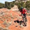 Headed back across the main arroyo, you'll get to practice your cornering technique through plenty of flat turns.