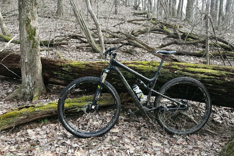 When muddy conditions strike Deer Lake Park, the trails can be challenging in spots but fun in others.