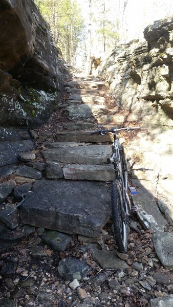 The Stairway to Heaven makes a fun technical challenge along the Scrappy Mountain Loop.