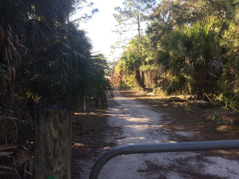 The trailhead is located right off of Main Street.