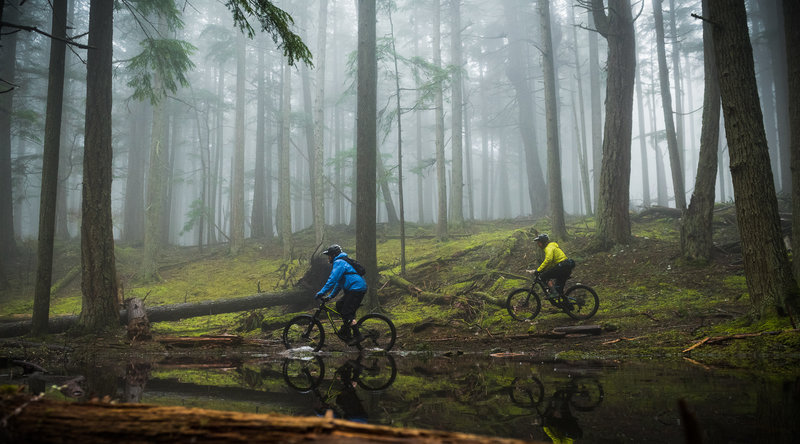 Things can get a bit wet on the trails, but overall they hold up well.