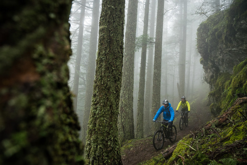 Fog, trees, and overhanging rocks made for an awesome afternoon ride.