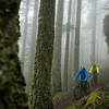 Fog, trees, and overhanging rocks made for an awesome afternoon ride.