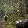 Cold Springs Trail consists of fast straightaways that speed into abruptly sharp corners.