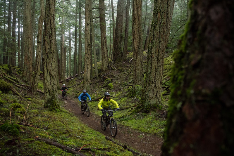 The group rides through a fairytale forest at the start of the Cold Springs Trail.