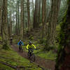 The group rides through a fairytale forest at the start of the Cold Springs Trail.