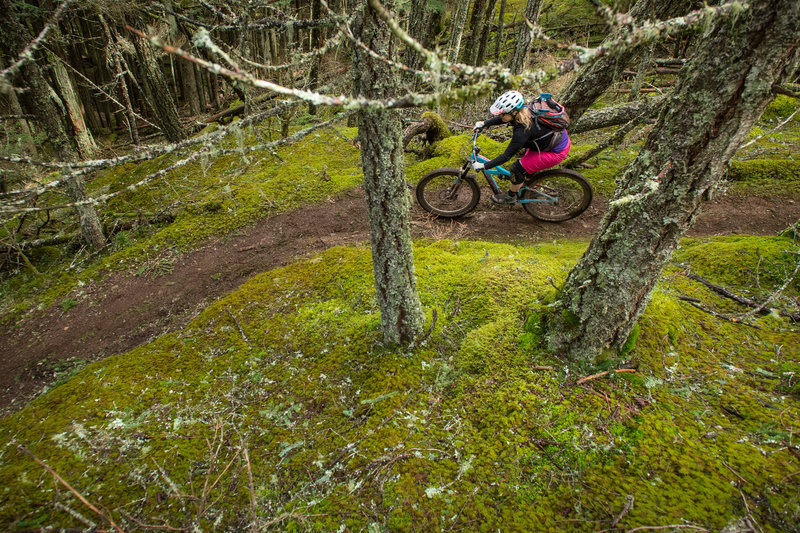 Riding through waves of moss is pretty surreal.