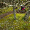 Riding through waves of moss is pretty surreal.