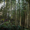 Enjoy the miles of singletrack on Orcas Island.