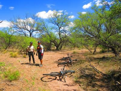 In the mesquite bosque, you'll find good patches of shade to avoid the sun and take a break.