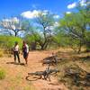 In the mesquite bosque, you'll find good patches of shade to avoid the sun and take a break.