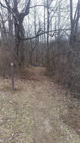 Good trail maintenance allows Westwood Park to be open all year.