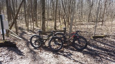 Cross the horse trail just before mile 4.